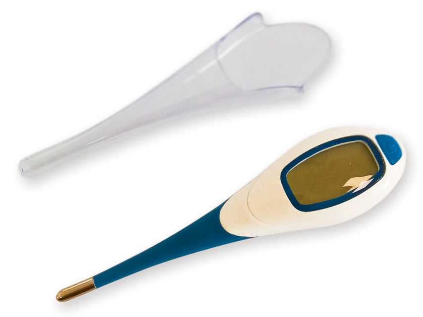 Termometro Digitale BL3 Ampio Schermo °C - Cod. 25554