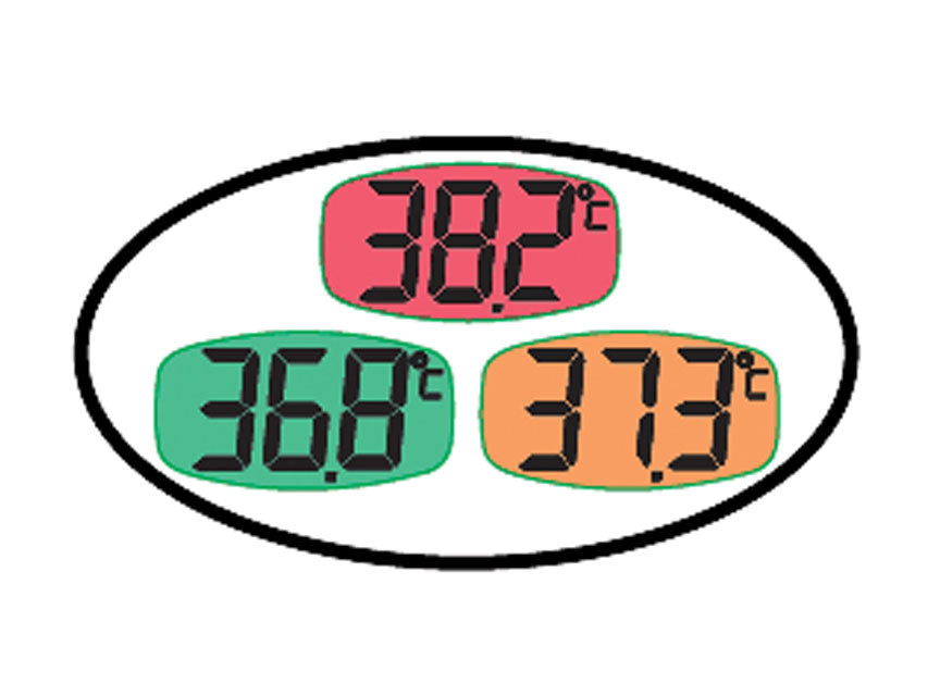 Termometro Digitale BL3 Ampio Schermo °C - Cod. 25554